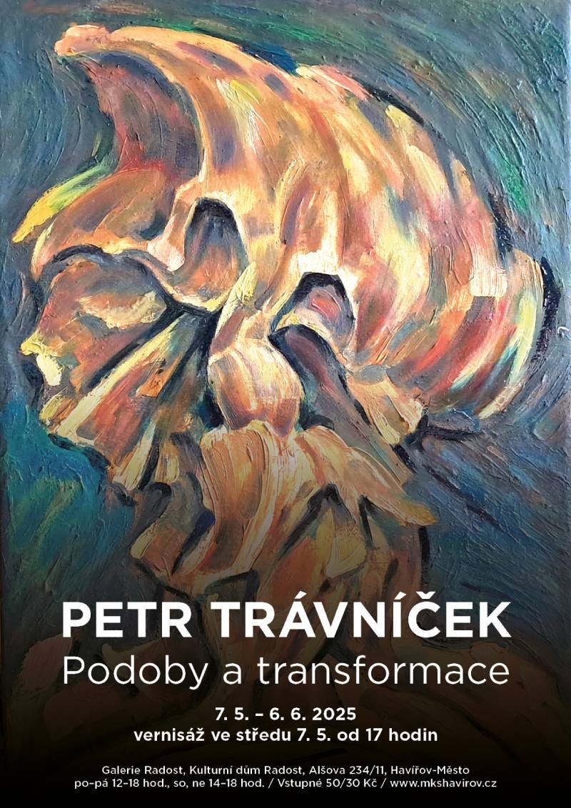 Pozvání na akci - Petr Trávníček - Podoby a transformace