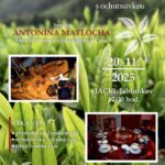 Pozvání na akci - Čajový rituál