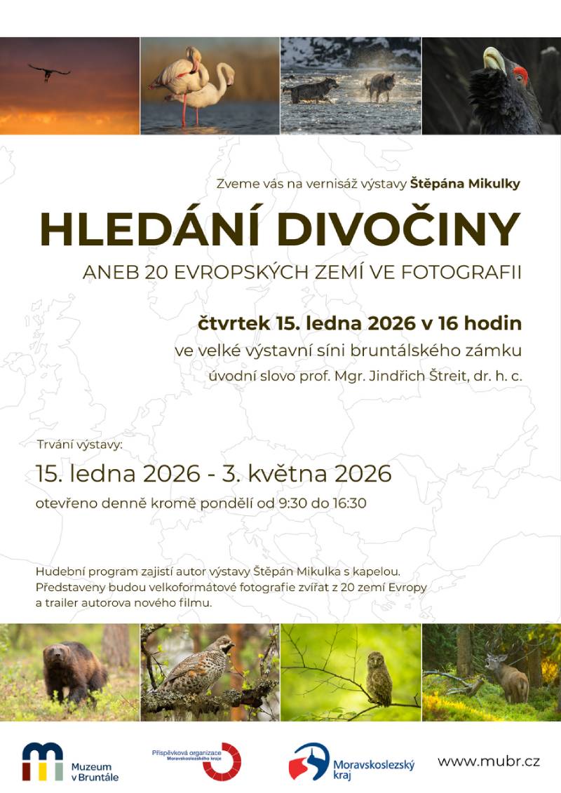 Pozvání na akci - Hledání divočiny