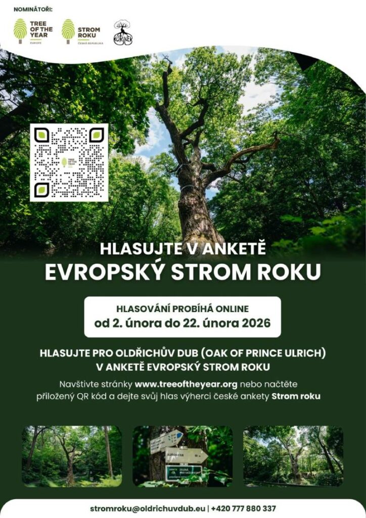 Fotografie - Oldřichův dub - evropské kolo plakátek