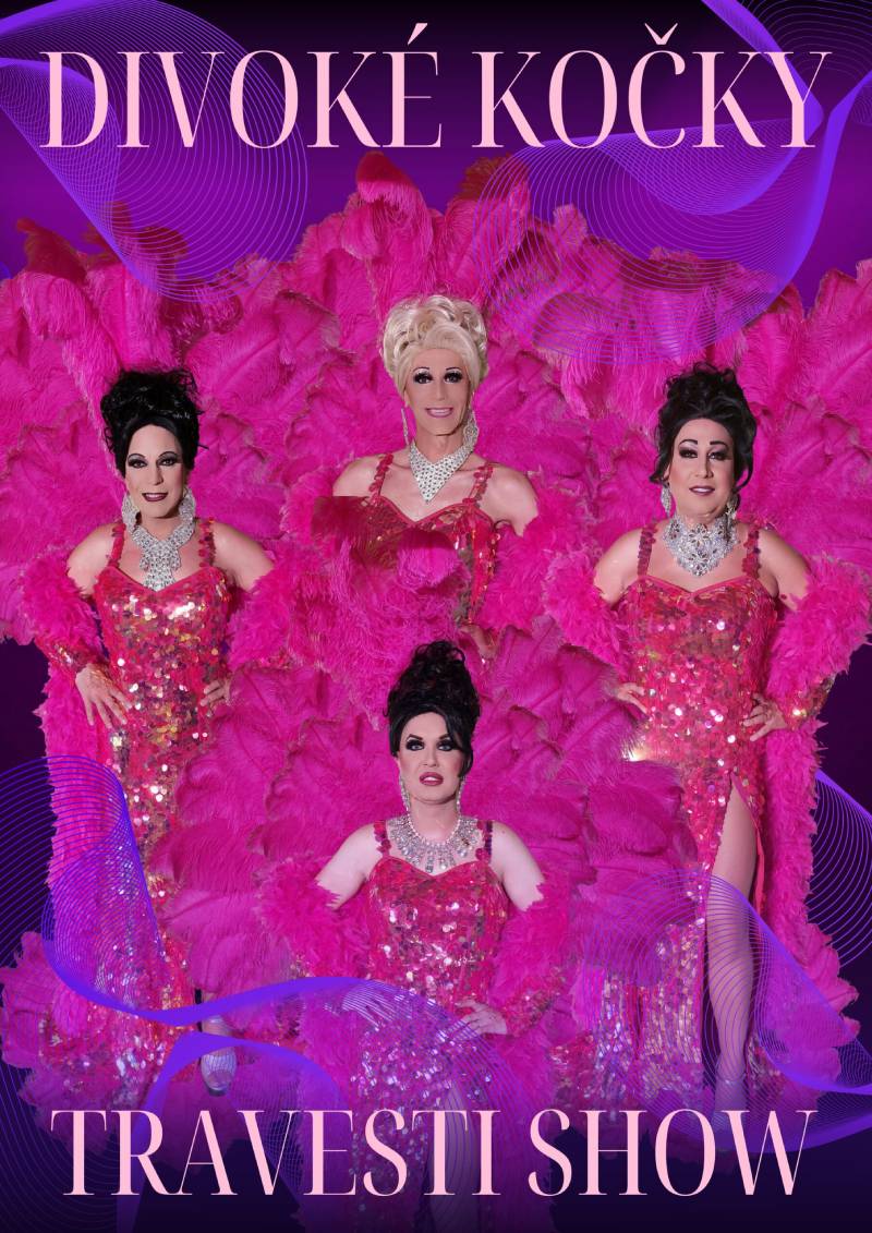 Pozvání na akci - Travesti show Divoké kočky – 20 let na scéně!