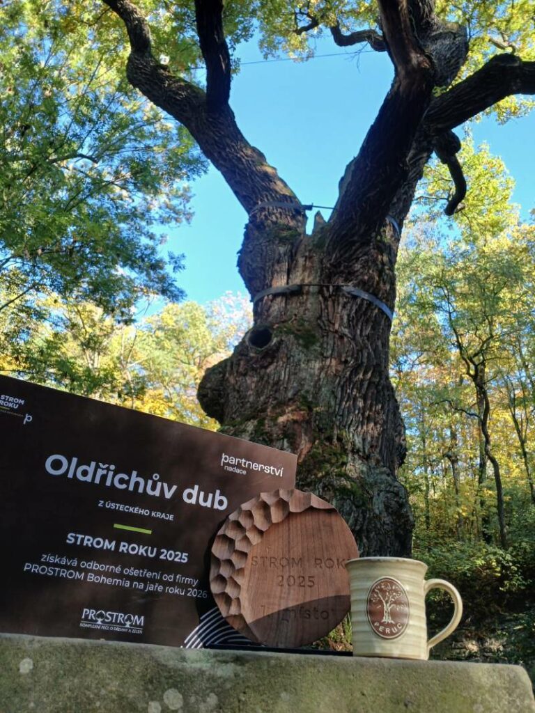 Fotografie - Vítězství Oldřicha